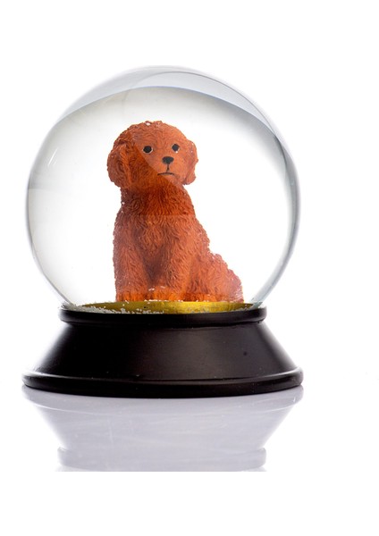 Cam ve Reçine Altın Patiler Toy Poodle (Tarçın) Kar Küresi