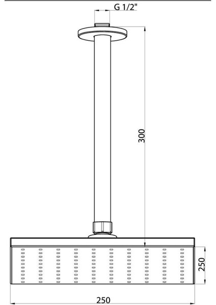 Ankastre Duş Başlığı (Tavandan) (250X250) ADS15