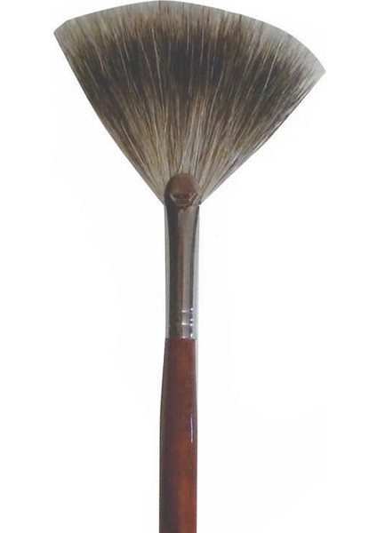 4229-6 Porsuk Yelpaze Fırça