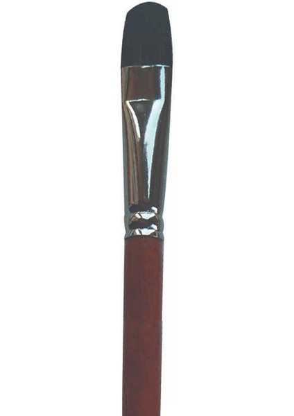 402-16 Kedi Dili Siyah Fırça