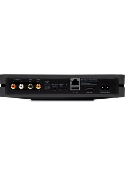 Blue Sound N130 Musıc Streamer fırsatları