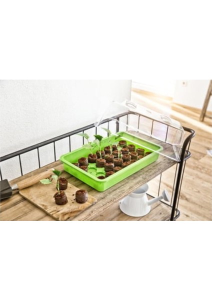 Tohum Yetiştirme Tepsisi Yeşil 38 x 24 x 6cm fiyatları