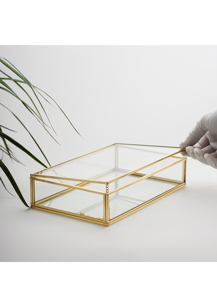 Çikolata Takı Aksesuar Mücevherat Kutusu Kapaklı Cam Ham Pirinç Gold 25X15X6CM