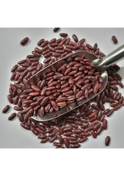 Tegen (Teğmen Tipi) Fasulye Tohumu 1 kg