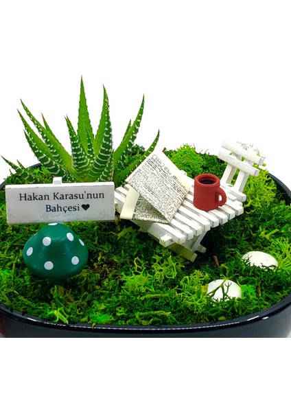 Kişiye Özel Minyatür Gazeteli Sukulent Bahçesi modelleri