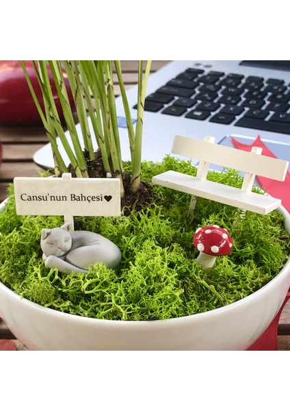 Kişiye Özel Tasarım Beyaz Chamaedorea Elegans Serisi Uyuyan Kedi Bahçesi fiyatları