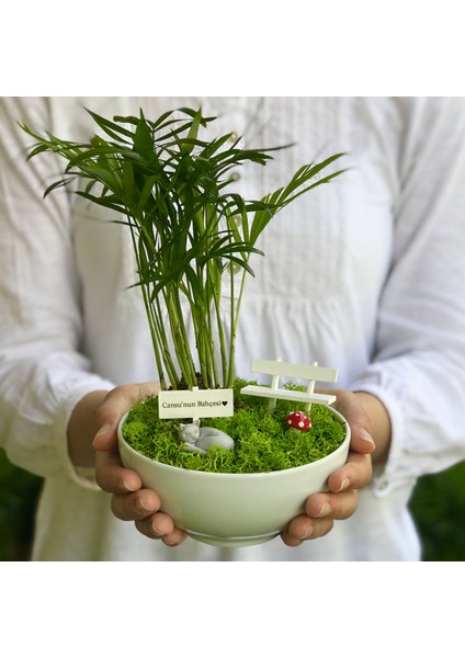 Kişiye Özel Tasarım Beyaz Chamaedorea Elegans Serisi Uyuyan Kedi Bahçesi fırsatları