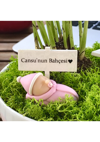 Kişiye Özel Tasarım Beyaz Chamaedorea Elegans Serisi Kız Bebek Bahçesi fiyatları