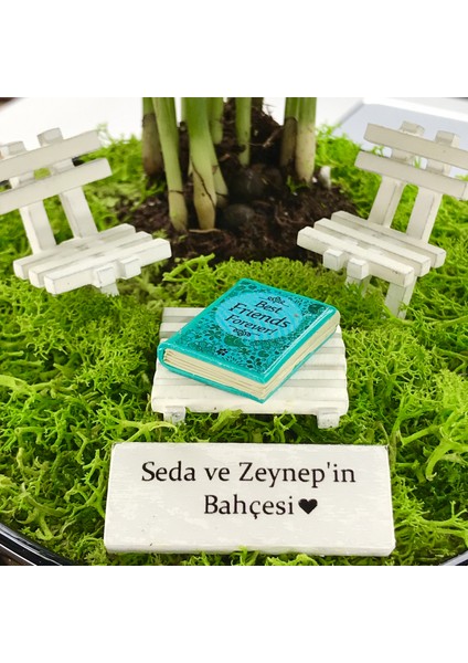 Kişiye Özel Tasarım Siyah Chamaedorea Elegans Serisi En Iyi Arkadaşlar Için modelleri