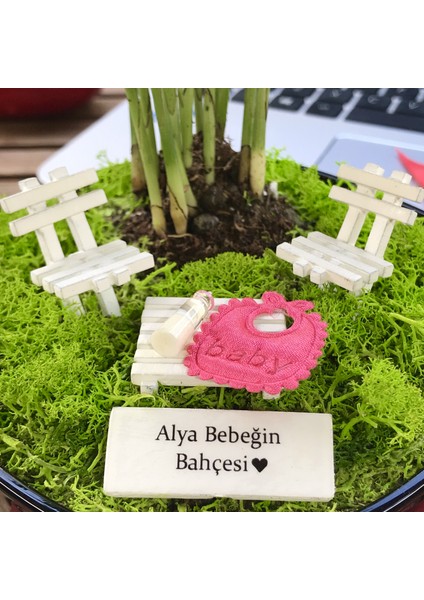 Kişiye Özel Tasarım Siyah Chamaedorea Elegans Serisi Kız Bebek Bahçesi modelleri