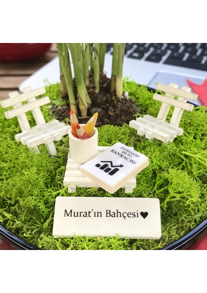 Kişiye Özel Tasarım Siyah Chamaedorea Elegans Serisi Bankacılar Için