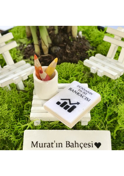 Kişiye Özel Tasarım Siyah Chamaedorea Elegans Serisi Bankacılar Için fiyatları