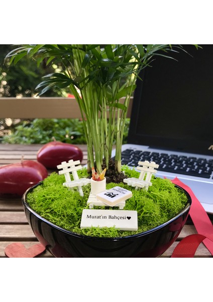 Kişiye Özel Tasarım Siyah Chamaedorea Elegans Serisi Bankacılar Için modelleri