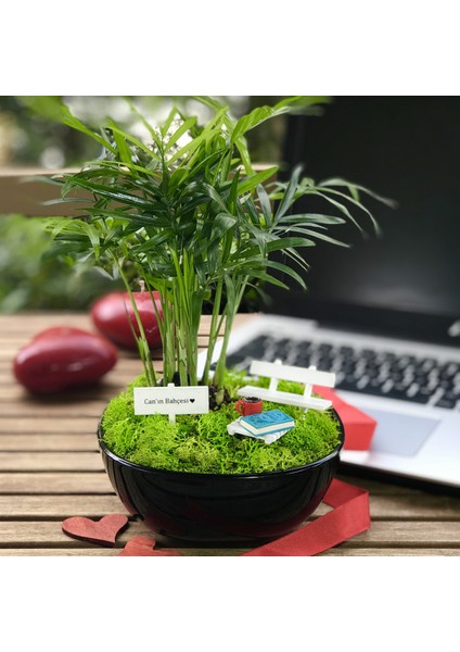 Kişiye Özel Tasarım Siyah Chamaedorea Elegans Serisi Babam Için