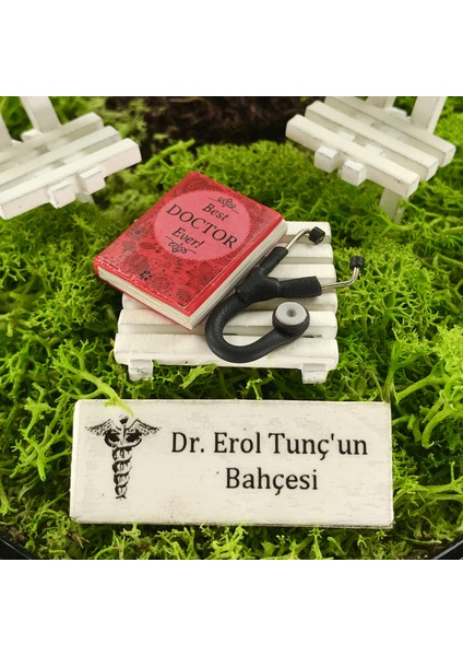Kişiye Özel Tasarım Siyah Chamaedorea Elegans Serisi Doktorlar Için