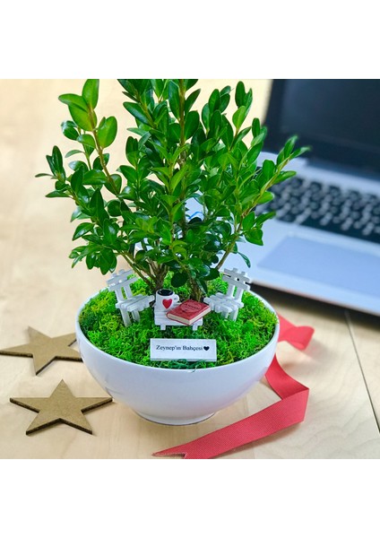 Kişiye Özel Cute Serisi Buxus Bonsai Canım Anneme fiyatları