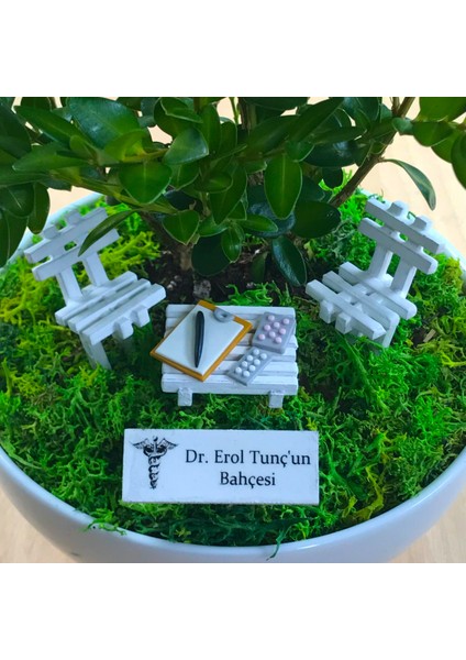 Kişiye Özel Cute Serisi Buxus Bonsai Doktorlar Için 3