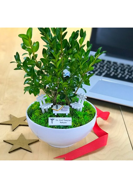 Kişiye Özel Cute Serisi Buxus Bonsai Doktorlar Için 3 fiyatları