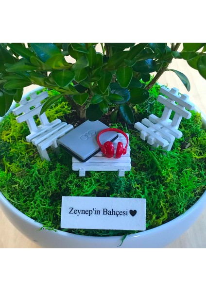 Kişiye Özel Cute Serisi Buxus Bonsai My Little Garden