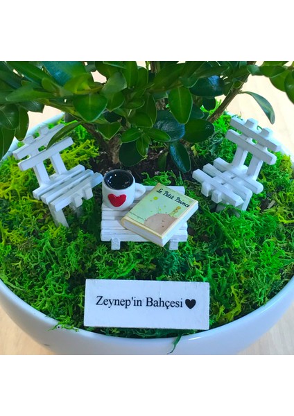 Kişiye Özel Cute Serisi Buxus Bonsai The Little Prince