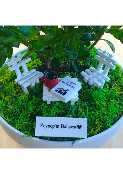 Kişiye Özel Cute Serisi Buxus Bonsai Bankacılar Için