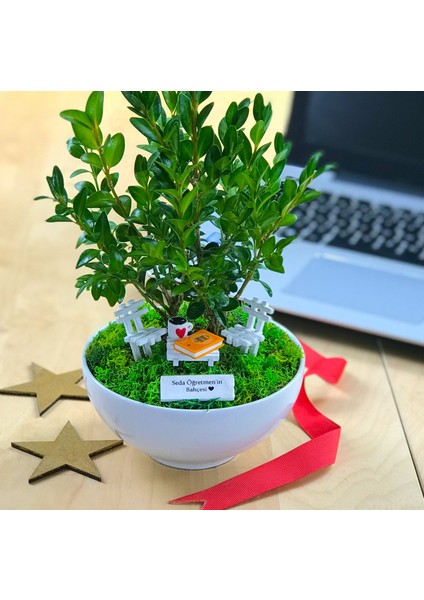 Kişiye Özel Cute Serisi Buxus Bonsai Hayat Bilgisi Öğretmenim Için