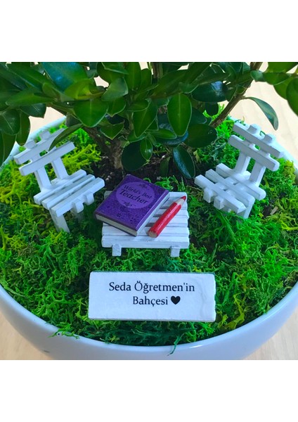Kişiye Özel Cute Serisi Buxus Bonsai Canım Öğretmenim Için 2
