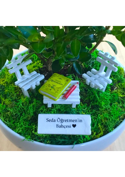 Kişiye Özel Cute Serisi Buxus Bonsai Canım Öğretmenim Için 1