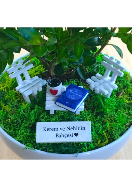 Kişiye Özel Cute Serisi Buxus Bonsai The Meaning Of Life