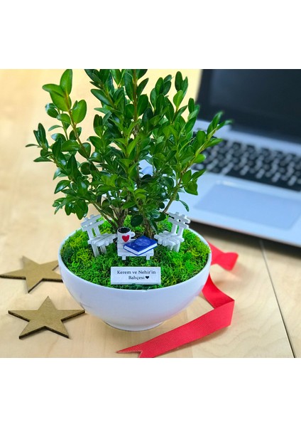Kişiye Özel Cute Serisi Buxus Bonsai The Meaning Of Life fiyatları