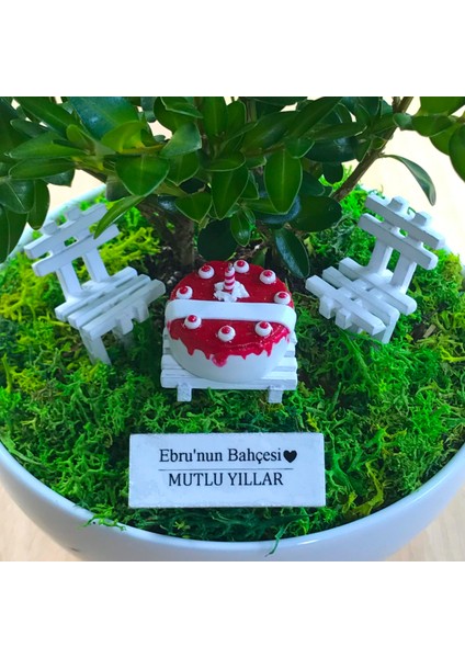 Kişiye Özel Cute Serisi Buxus Bonsai Happy Birthday 1