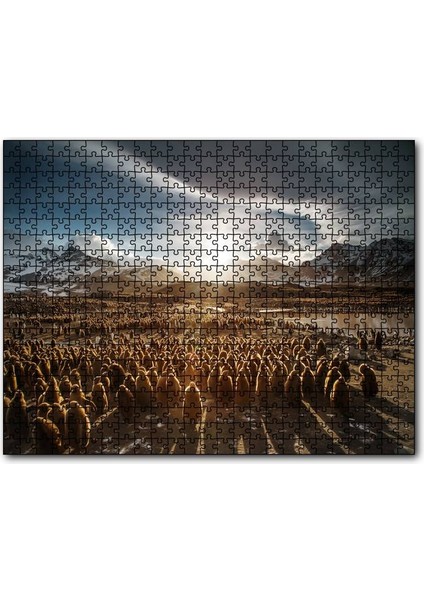 Güney Georgia'da Kral Pengueni Yavruları 255 Parça Puzzle Yapboz Mdf (Ahşap)