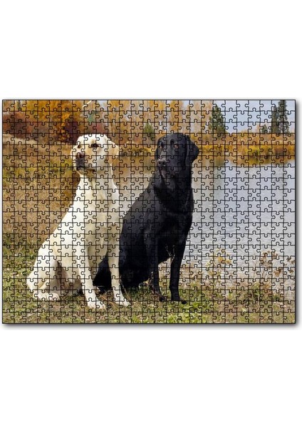 Göl Kenarındaki Beyaz ve Siyah Labradorlar 120 Parça Puzzle Yapboz Mdf (Ahşap)