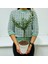 Ofis Için Uygun Beyaz Renk Orta Boy Saksıda Bonsai Zeytin Fidanı 2