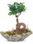 Taş Saksıda Bonsai 1