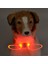 Renkli LED Evcil Köpek ve Kedi Tasması Zinciri Gece Lambası 2 Adet (Yurt Dışından) 3