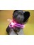 Renkli LED Evcil Köpek ve Kedi Tasması Zinciri Gece Lambası 2 Adet (Yurt Dışından) 5