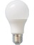 8 W LED Ampul Günışığı 1