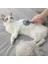 Kedi Tarağı Bakım Fırçası Köpek Tüy Alma Fırçası(Yurt Dışından) 2
