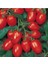50 Adet Tohum Cherry Çeri Domates Tohumu Saksılık Saksı Toprak 1