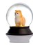 Cam ve Reçine Altın Patiler Pomeranian Boo (Kayısı) Kar Küresi 2