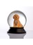Cam ve Reçine Altın Patiler Toy Poodle (Kayısı) Kar Küresi 2