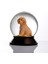 Cam ve Reçine Altın Patiler Toy Poodle (Kayısı) Kar Küresi 3