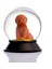 Cam ve Reçine Altın Patiler Toy Poodle (Tarçın) Kar Küresi 3