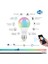 10W Wİ-Fİ AKILLI LED AMPUL 4