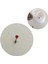 Cerrahi Çelik Kırmızı Zirkon Taşlı Piercing (Taş Çapı 3mm) Bar Uzunluğu 8mm 1