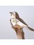 Sparrow 1'li Kuş Vizon 2
