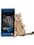 Tavuk ve Proteinli Yetişkin Kedi Maması 15 kg 1