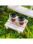 Kişiye Özel Cute Serisi Buxus Bonsai Bizim Bahçemiz 3