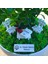 Kişiye Özel Cute Serisi Buxus Bonsai Avukatlar Için 1 1